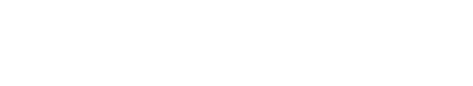 NextMinder Logo